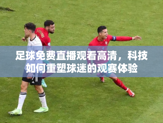 足球免费直播观看高清，科技如何重塑球迷的观赛体验