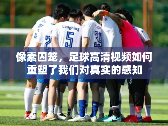 像素囚笼，足球高清视频如何重塑了我们对真实的感知