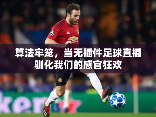 算法牢笼，当无插件足球直播驯化我们的感官狂欢