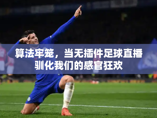 算法牢笼，当无插件足球直播驯化我们的感官狂欢