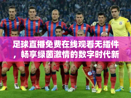 足球直播免费在线观看无插件，畅享绿茵激情的数字时代新方式
