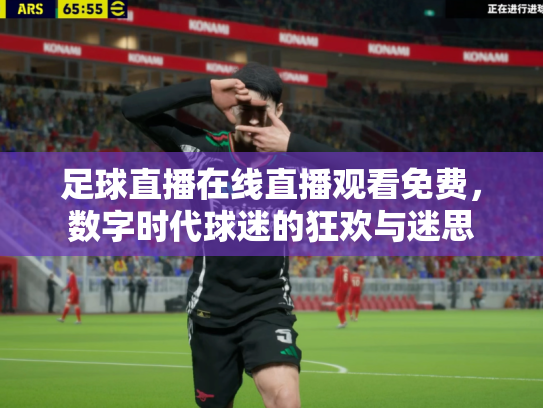 足球直播在线直播观看免费，数字时代球迷的狂欢与迷思