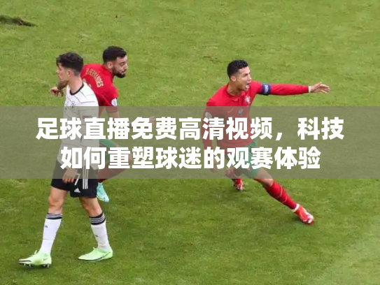 足球直播免费高清视频，科技如何重塑球迷的观赛体验