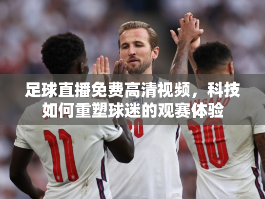 足球直播免费高清视频，科技如何重塑球迷的观赛体验