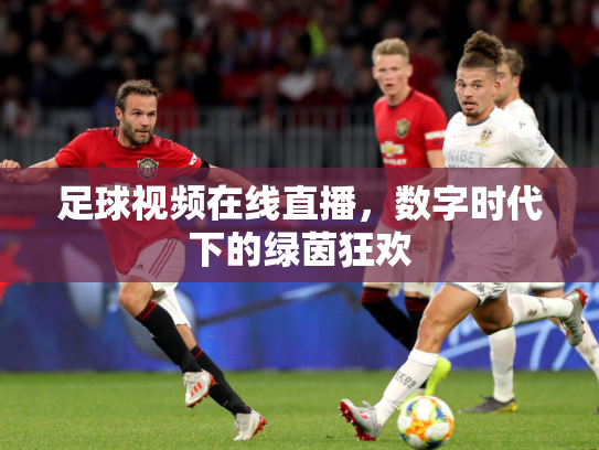 足球视频在线直播，数字时代下的绿茵狂欢