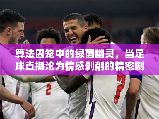 算法囚笼中的绿茵幽灵，当足球直播沦为情感剥削的精密剧场