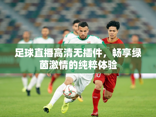 足球直播高清无插件，畅享绿茵激情的纯粹体验