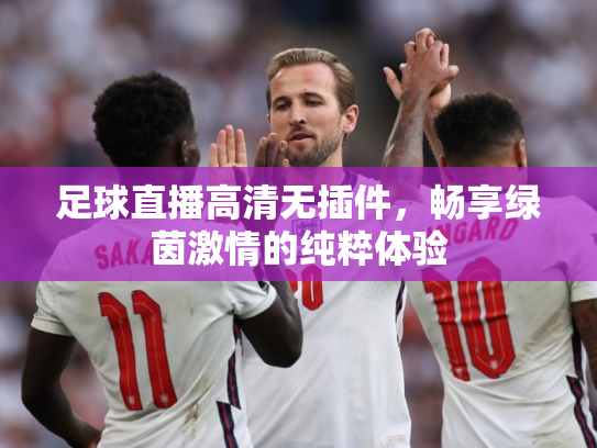 足球直播高清无插件，畅享绿茵激情的纯粹体验
