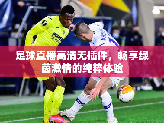 足球直播高清无插件，畅享绿茵激情的纯粹体验