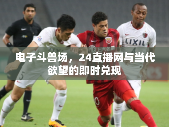 电子斗兽场，24直播网与当代欲望的即时兑现