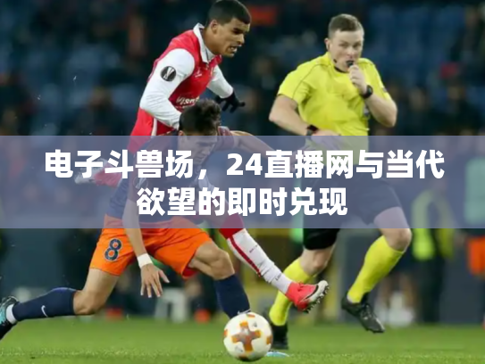 电子斗兽场，24直播网与当代欲望的即时兑现
