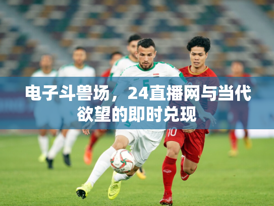 电子斗兽场，24直播网与当代欲望的即时兑现