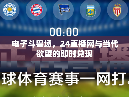 电子斗兽场，24直播网与当代欲望的即时兑现