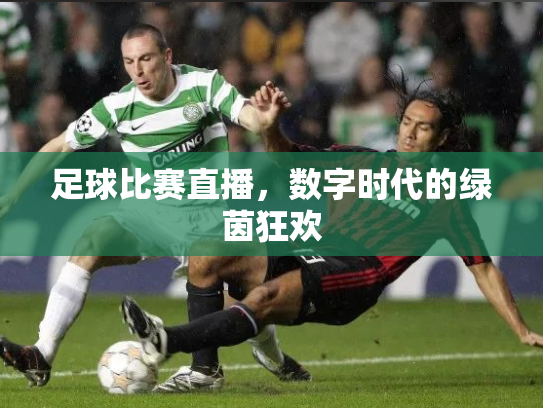 足球比赛直播，数字时代的绿茵狂欢