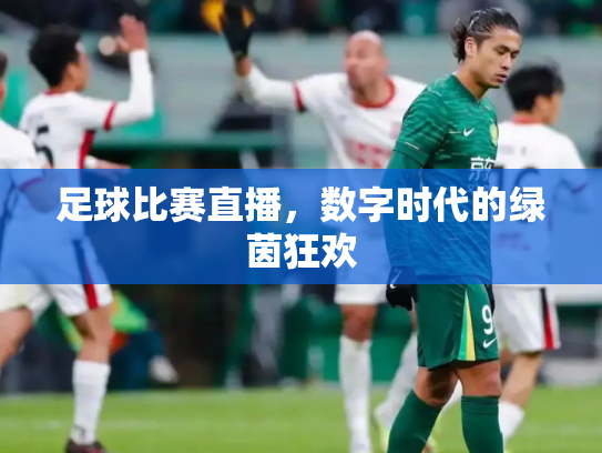 足球比赛直播，数字时代的绿茵狂欢