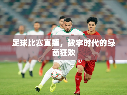 足球比赛直播，数字时代的绿茵狂欢