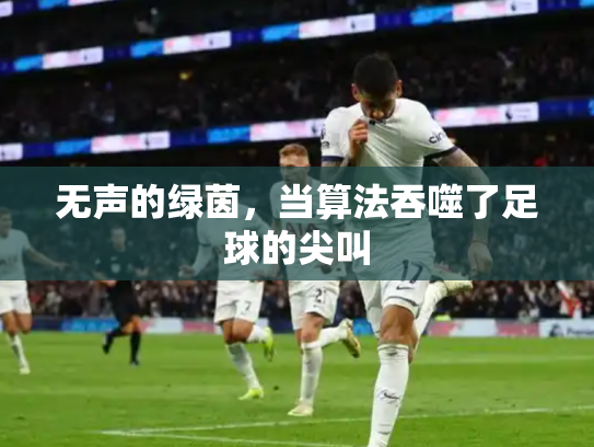 无声的绿茵，当算法吞噬了足球的尖叫