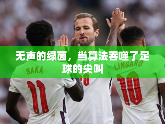 无声的绿茵，当算法吞噬了足球的尖叫
