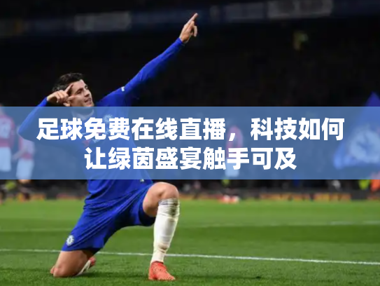 足球免费在线直播，科技如何让绿茵盛宴触手可及