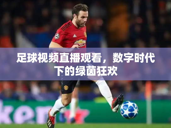 足球视频直播观看，数字时代下的绿茵狂欢