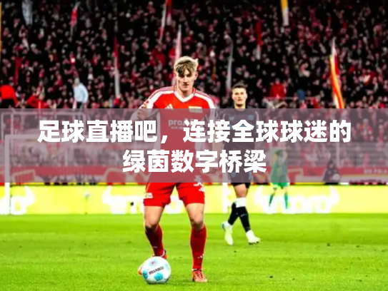 足球直播吧，连接全球球迷的绿茵数字桥梁