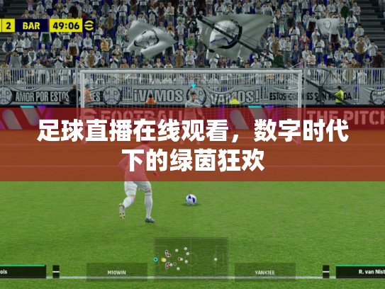 足球直播在线观看，数字时代下的绿茵狂欢
