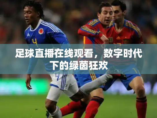 足球直播在线观看，数字时代下的绿茵狂欢