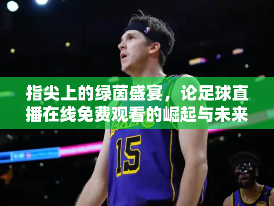 指尖上的绿茵盛宴，论足球直播在线免费观看的崛起与未来