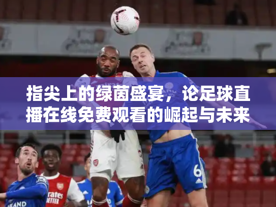 指尖上的绿茵盛宴，论足球直播在线免费观看的崛起与未来