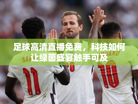 足球高清直播免费，科技如何让绿茵盛宴触手可及