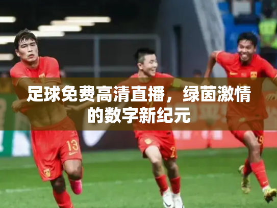 足球免费高清直播，绿茵激情的数字新纪元