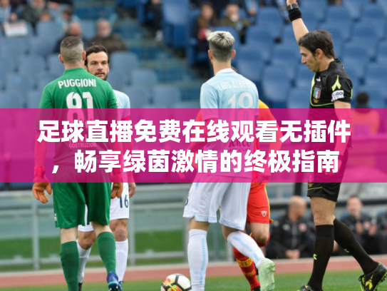 足球直播免费在线观看无插件，畅享绿茵激情的终极指南