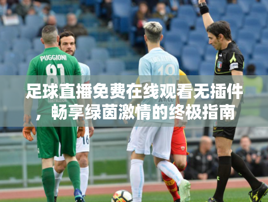 足球直播免费在线观看无插件，畅享绿茵激情的终极指南