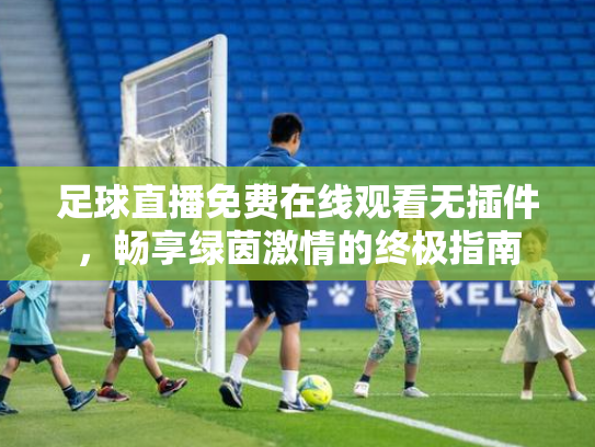 足球直播免费在线观看无插件，畅享绿茵激情的终极指南