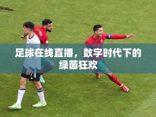 足球在线直播，数字时代下的绿茵狂欢