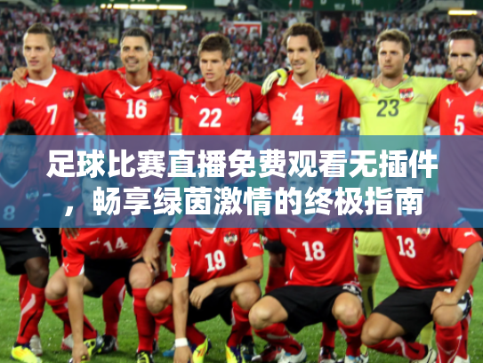 足球比赛直播免费观看无插件，畅享绿茵激情的终极指南