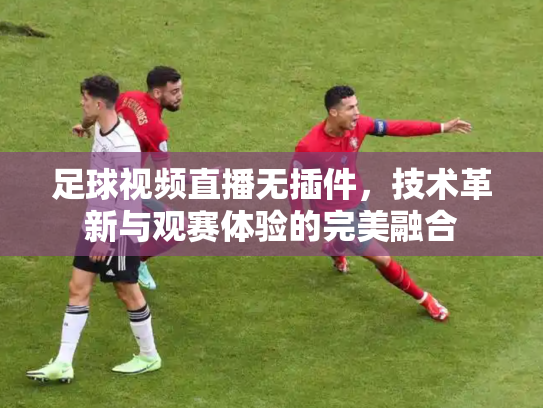 足球视频直播无插件，技术革新与观赛体验的完美融合