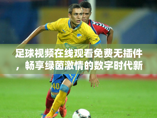 足球视频在线观看免费无插件，畅享绿茵激情的数字时代新方式