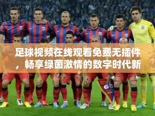 足球视频在线观看免费无插件，畅享绿茵激情的数字时代新方式