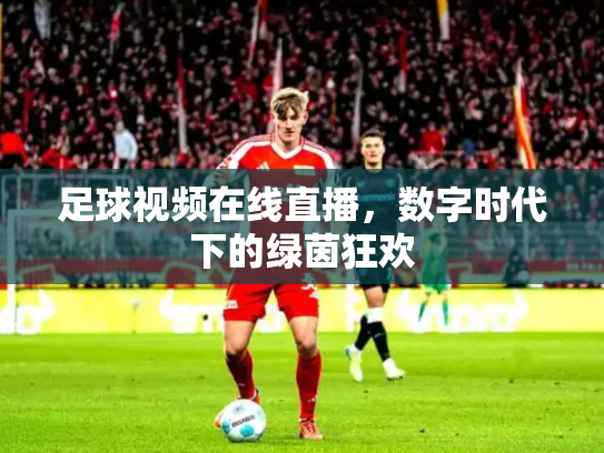 足球视频在线直播，数字时代下的绿茵狂欢