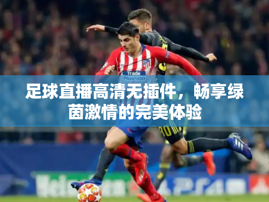 足球直播高清无插件，畅享绿茵激情的完美体验