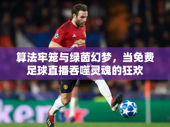 算法牢笼与绿茵幻梦，当免费足球直播吞噬灵魂的狂欢