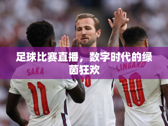 足球比赛直播，数字时代的绿茵狂欢