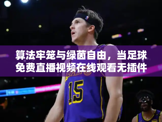 算法牢笼与绿茵自由，当足球免费直播视频在线观看无插件成为数字时代的隐秘抵抗