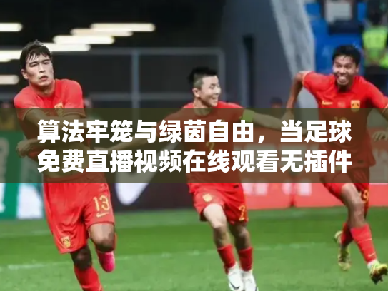 算法牢笼与绿茵自由，当足球免费直播视频在线观看无插件成为数字时代的隐秘抵抗