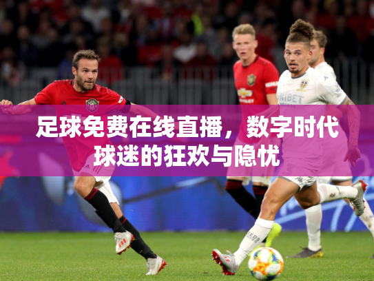 足球免费在线直播，数字时代球迷的狂欢与隐忧