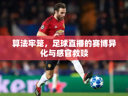 算法牢笼，足球直播的赛博异化与感官救赎