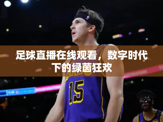 足球直播在线观看，数字时代下的绿茵狂欢