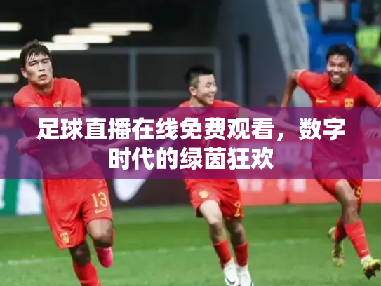 足球直播在线免费观看，数字时代的绿茵狂欢