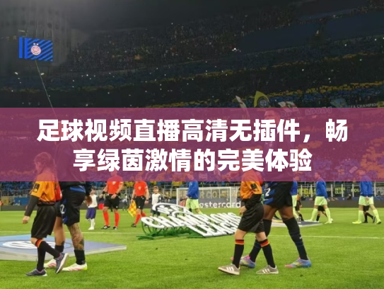 足球视频直播高清无插件，畅享绿茵激情的完美体验